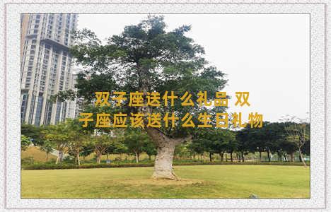 双子座送什么礼品 双子座应该送什么生日礼物